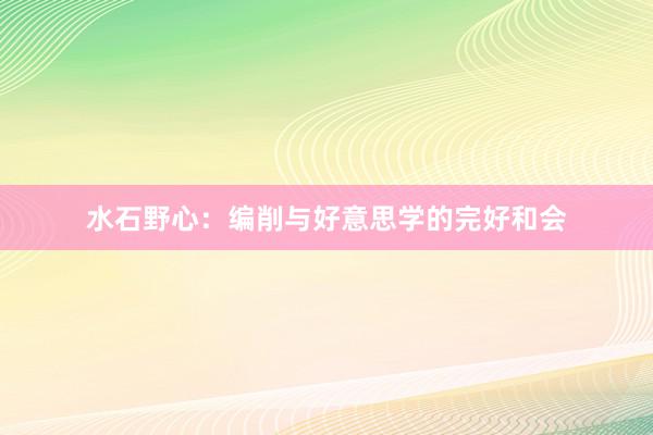 水石野心:编削与好意思学的完好和会