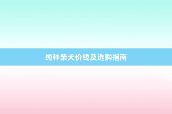 纯种柴犬价钱及选购指南