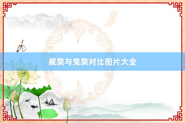 藏獒与鬼獒对比图片大全
